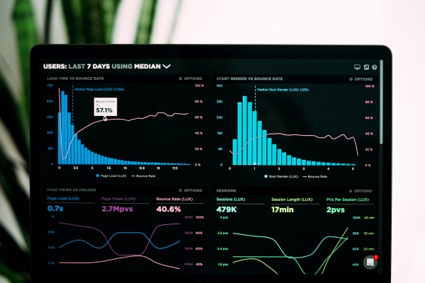 Website Performance Analytics