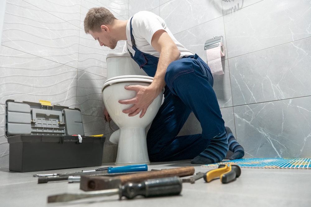 busy plumber with lots of leads from seo and ppc